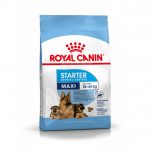 Royal Canin Maxi Starter Mother & Puppy